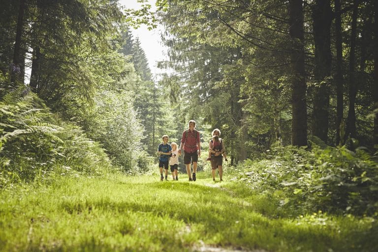 Mehr über den Artikel erfahren NATURPÄDAGOGIK
