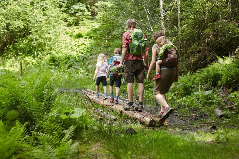 Mehr über den Artikel erfahren WANDERN & SPAZIEREN