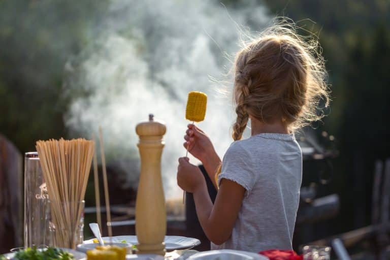 Mehr über den Artikel erfahren PICKNICK & BBQ