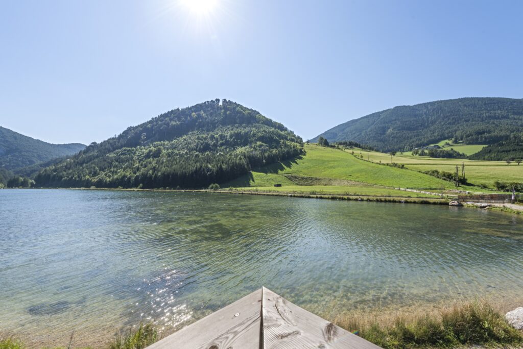 Web_PMP112-AN-23349-Top 7-0712